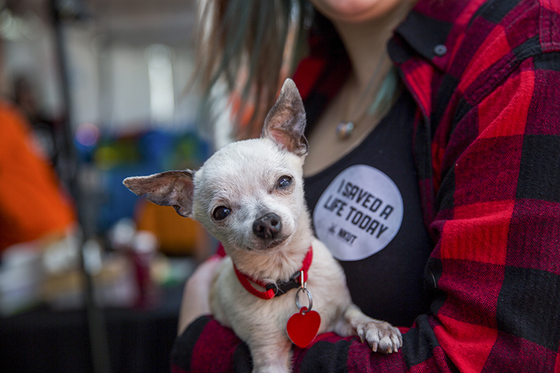 Behind the Scenes: Best Friends Animal Society