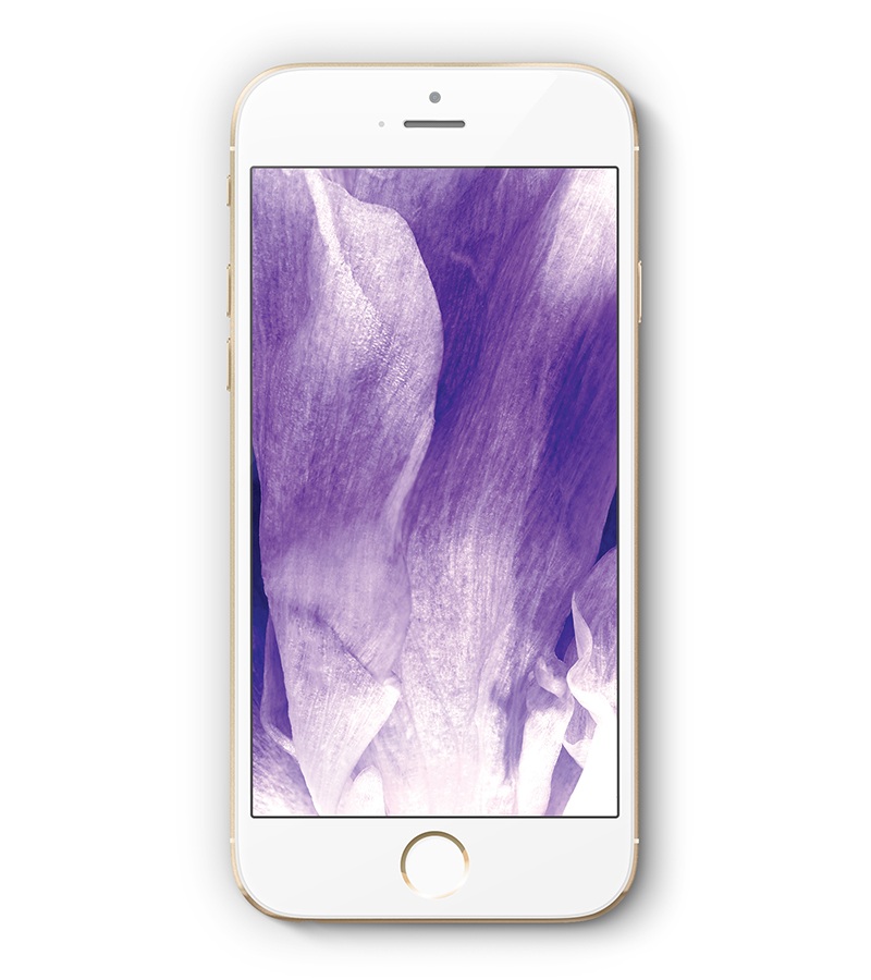 Download Now: Wallpapers Inspired by Our New Cleaning Collection