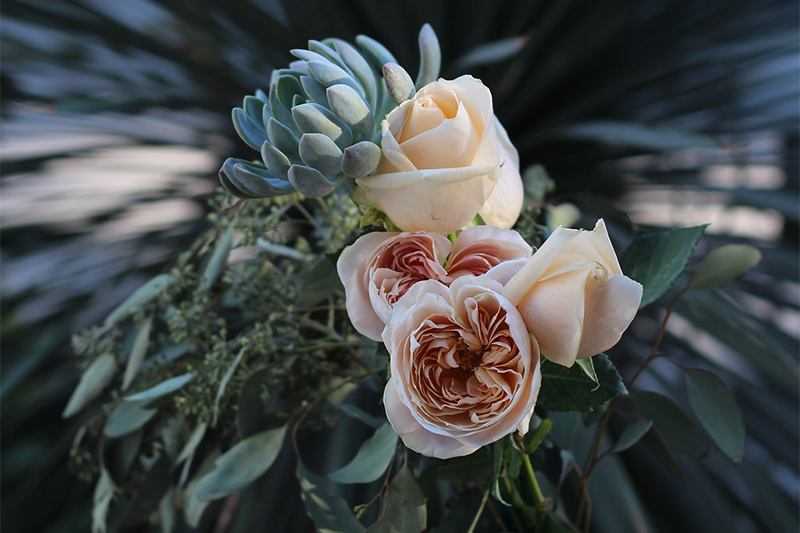 4 Tips for Getting Your Valentine’s Day Bouquet to Last 
