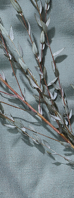 Header texture Image