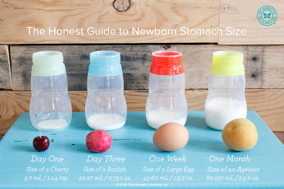 Honest Company Size Chart