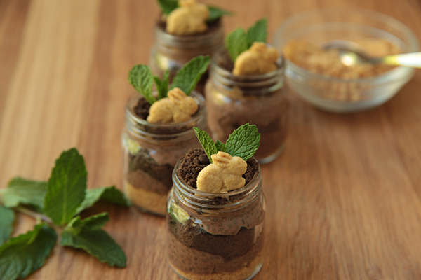 Sustainable Snacking: Chocolate Chia Seed Pudding for Earth Day