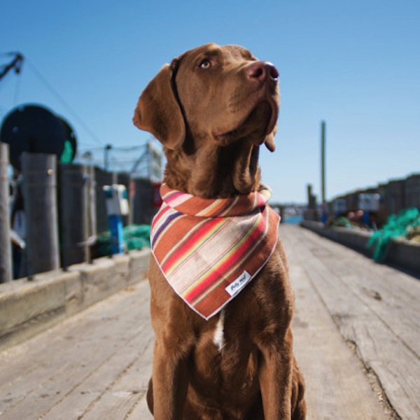 Billy Wolf NYC Bandanas