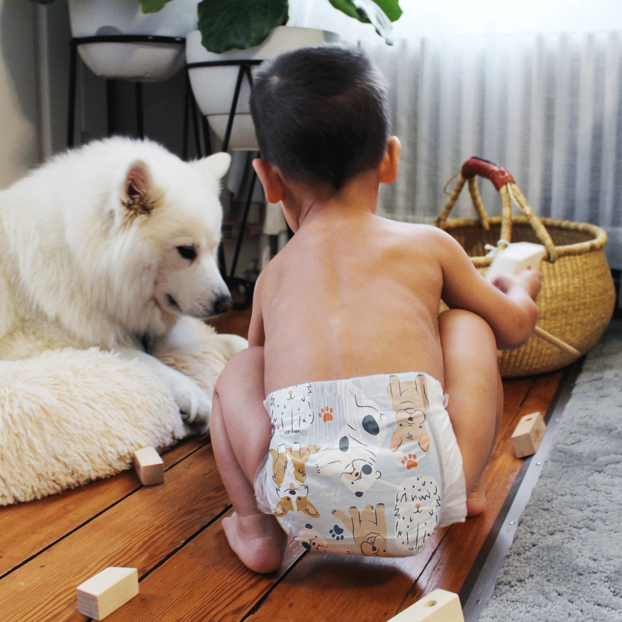 diaper delivery near me